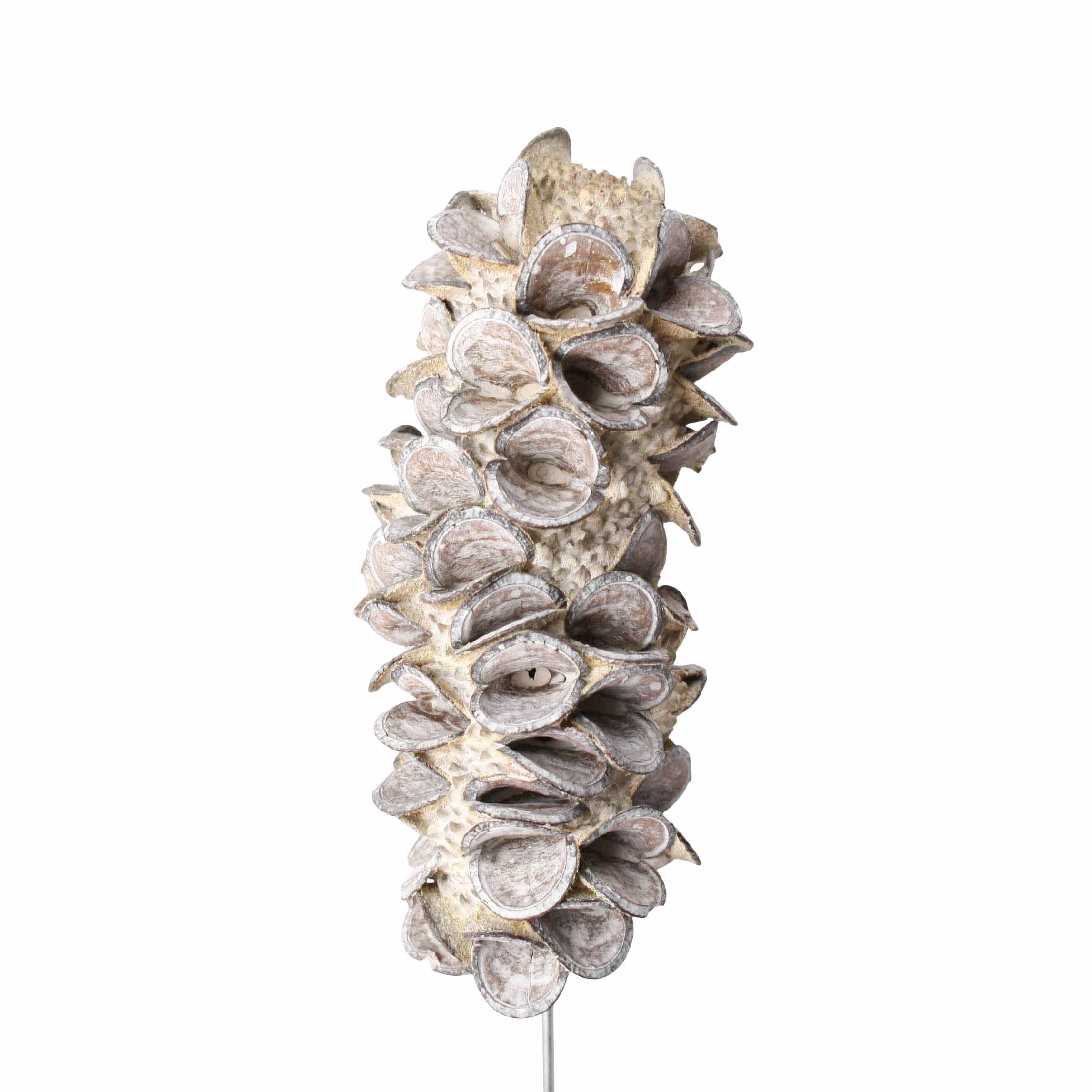 Tray Mealy Pods white a. Draht 25 STK