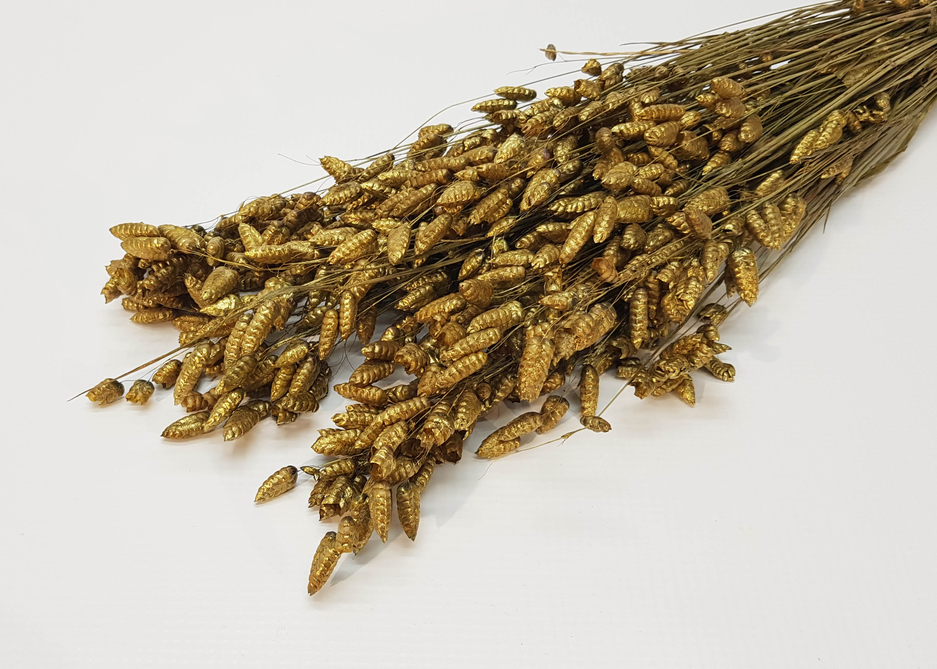 Briza Gold Washed 50-60cm 100g