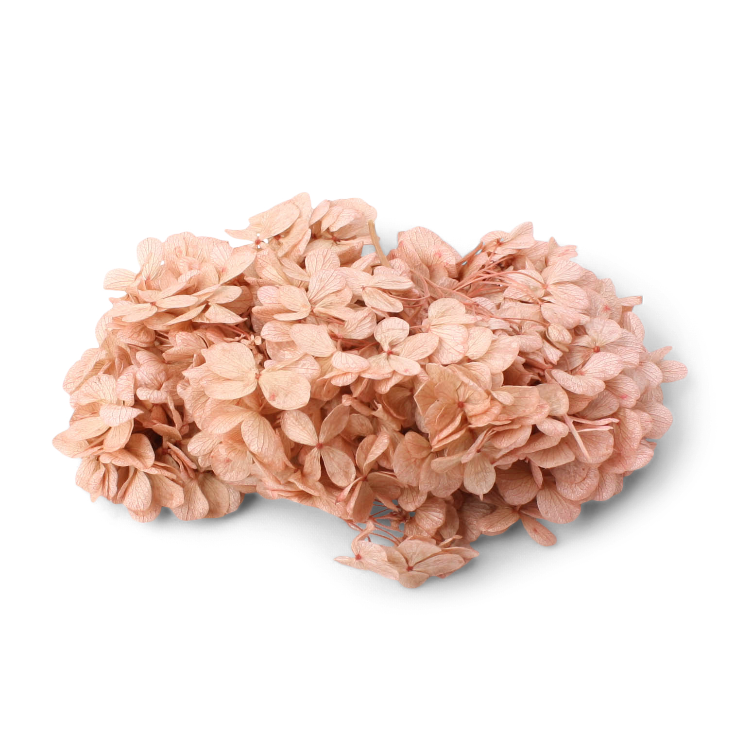 Hydrangea Loose altrosa 45g