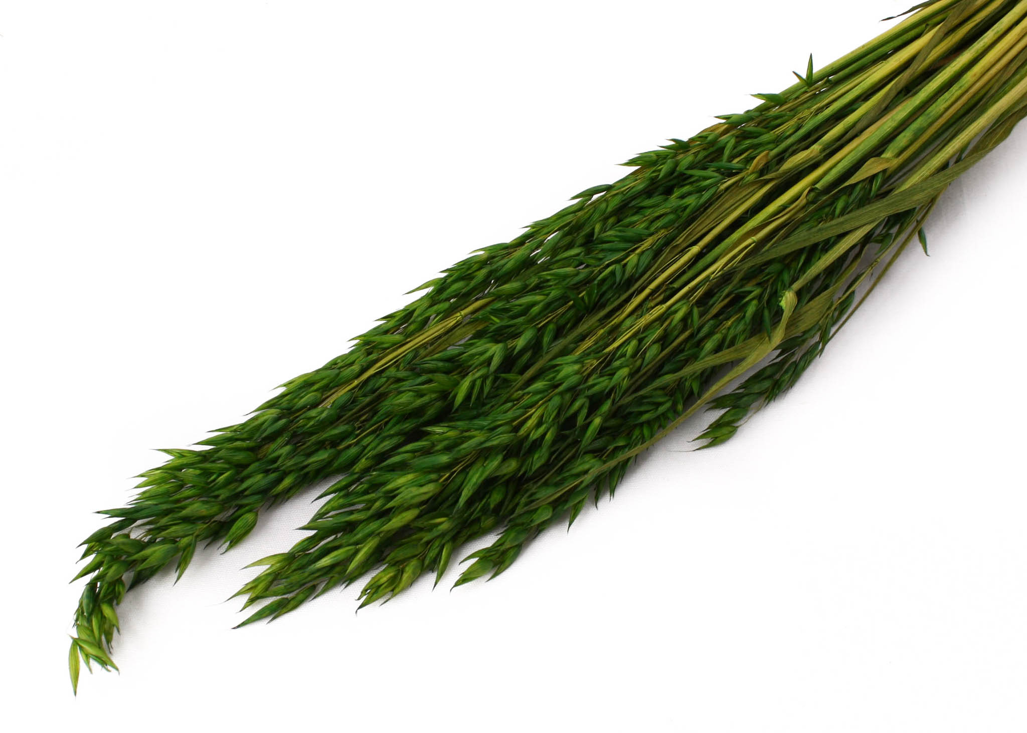 Oats dark green 75cm, 100g