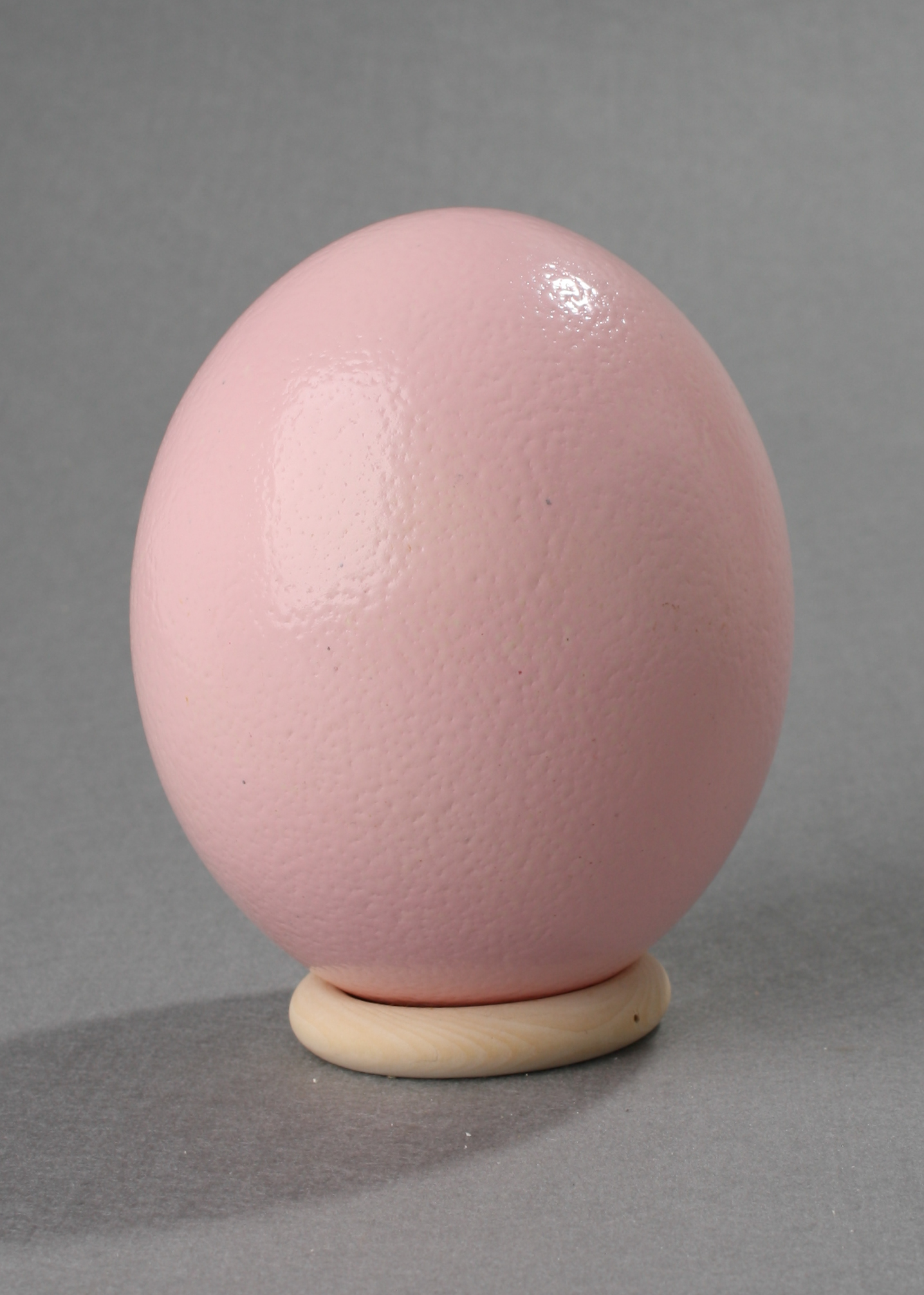 Ostrich Egg mit Holzständer new pink