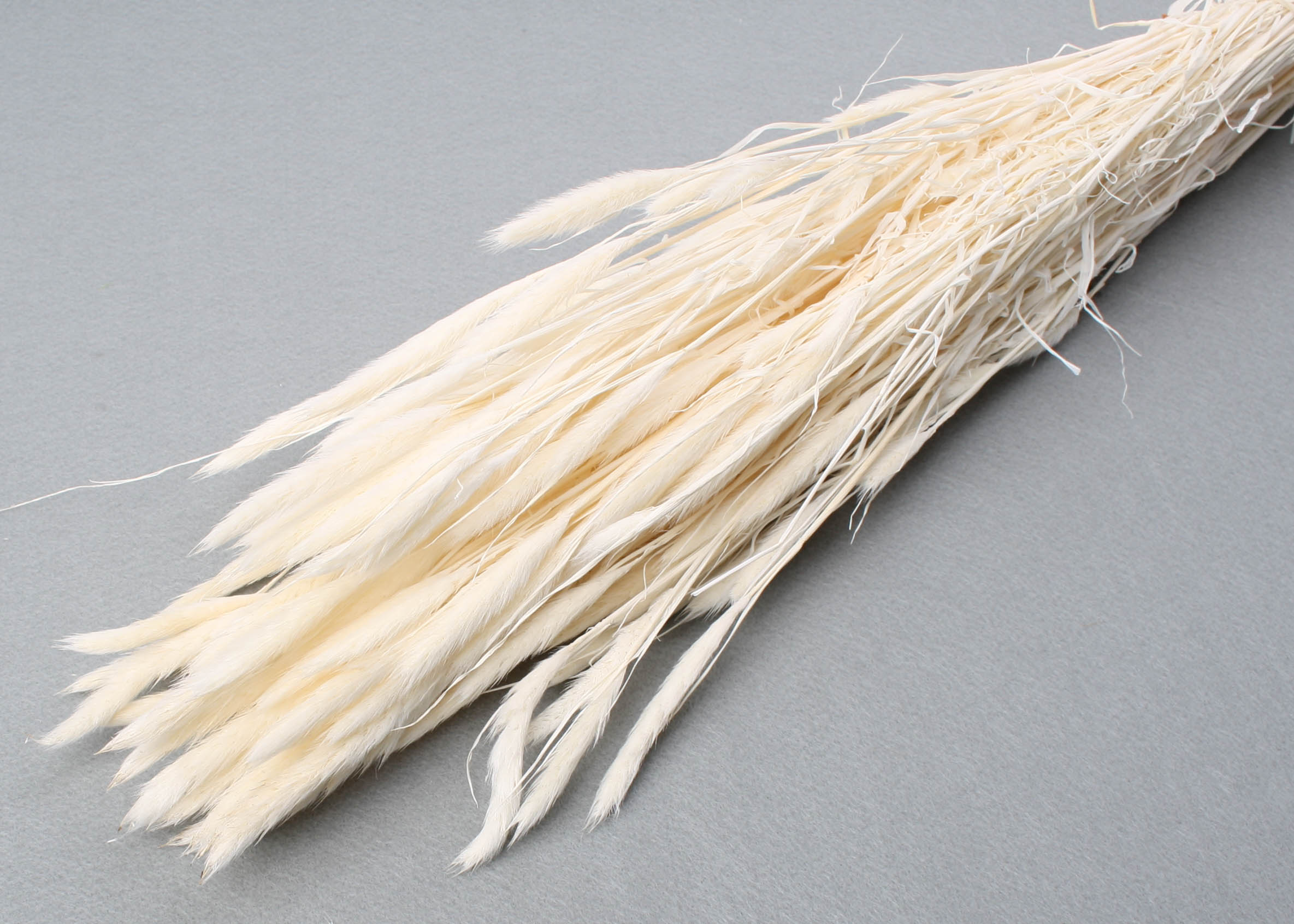 Polypogon Bleached 55-60cm, 75g