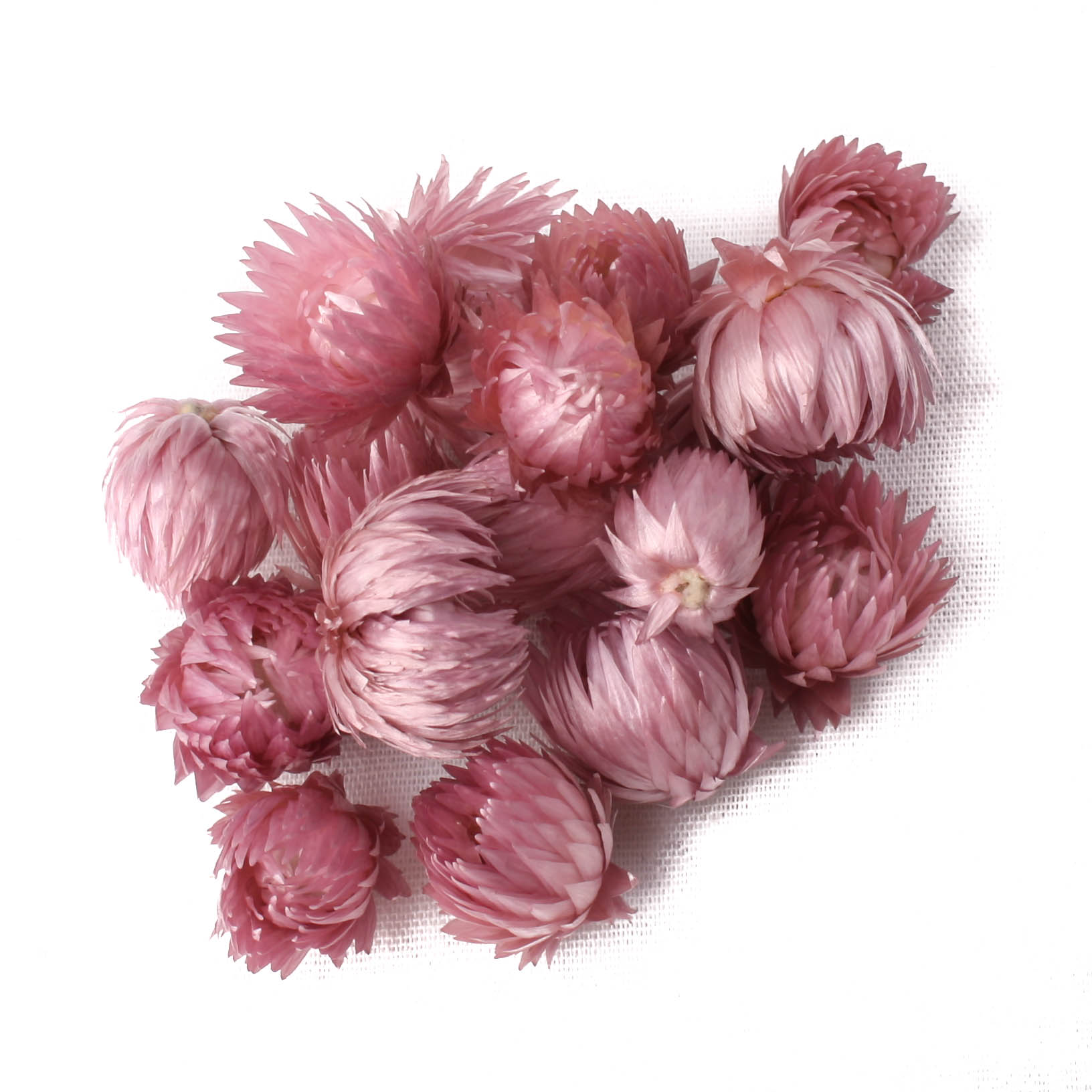 Capblumen Med Loose Erika 30g
