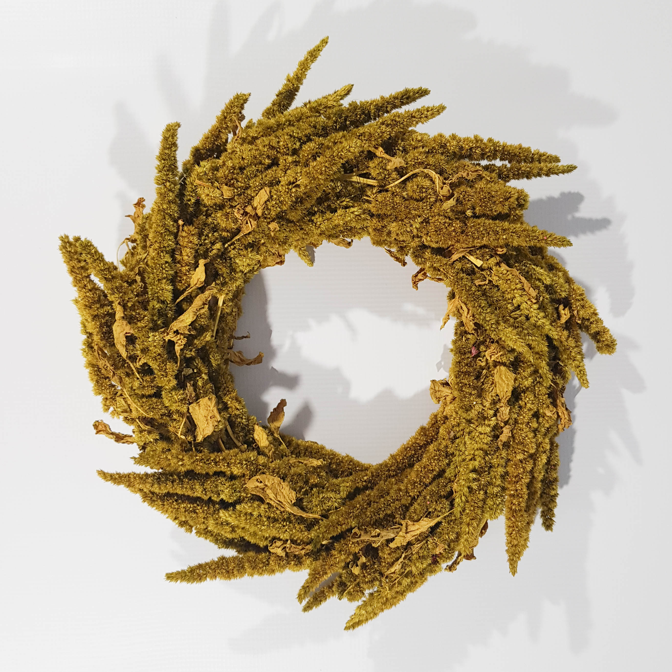 Kranz Amaranthus Thumb ant.Moss D 30 cm
