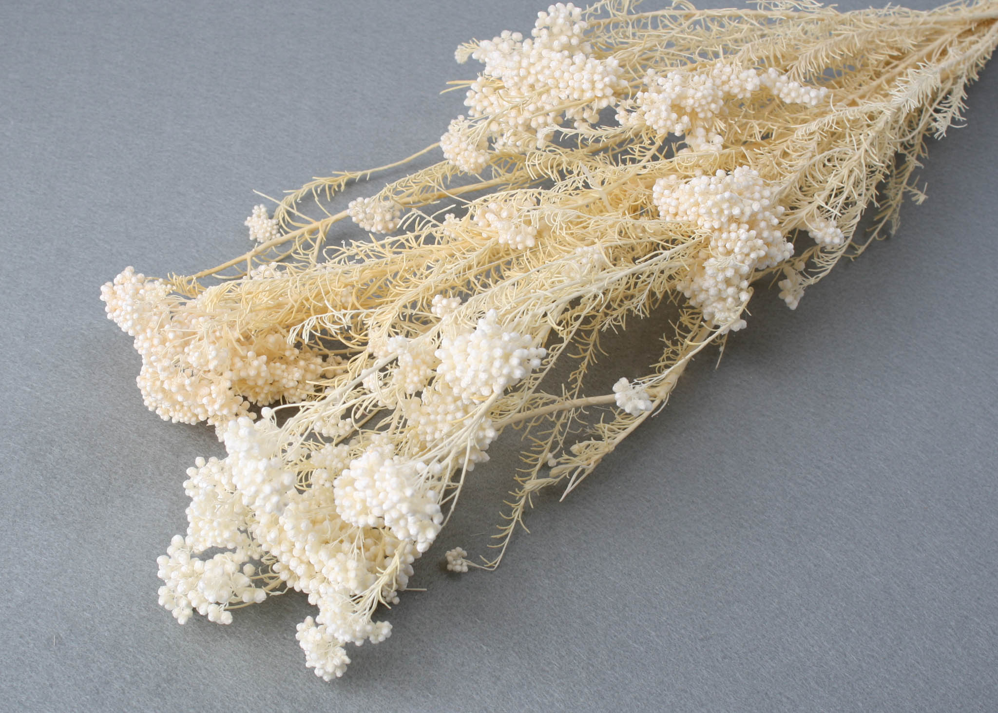 Rice Flower Bleached 45-60cm 125g