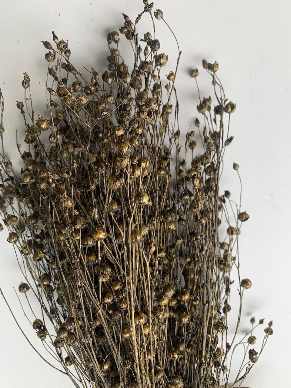 Linum Black Gold Washed  40-50cm 75g