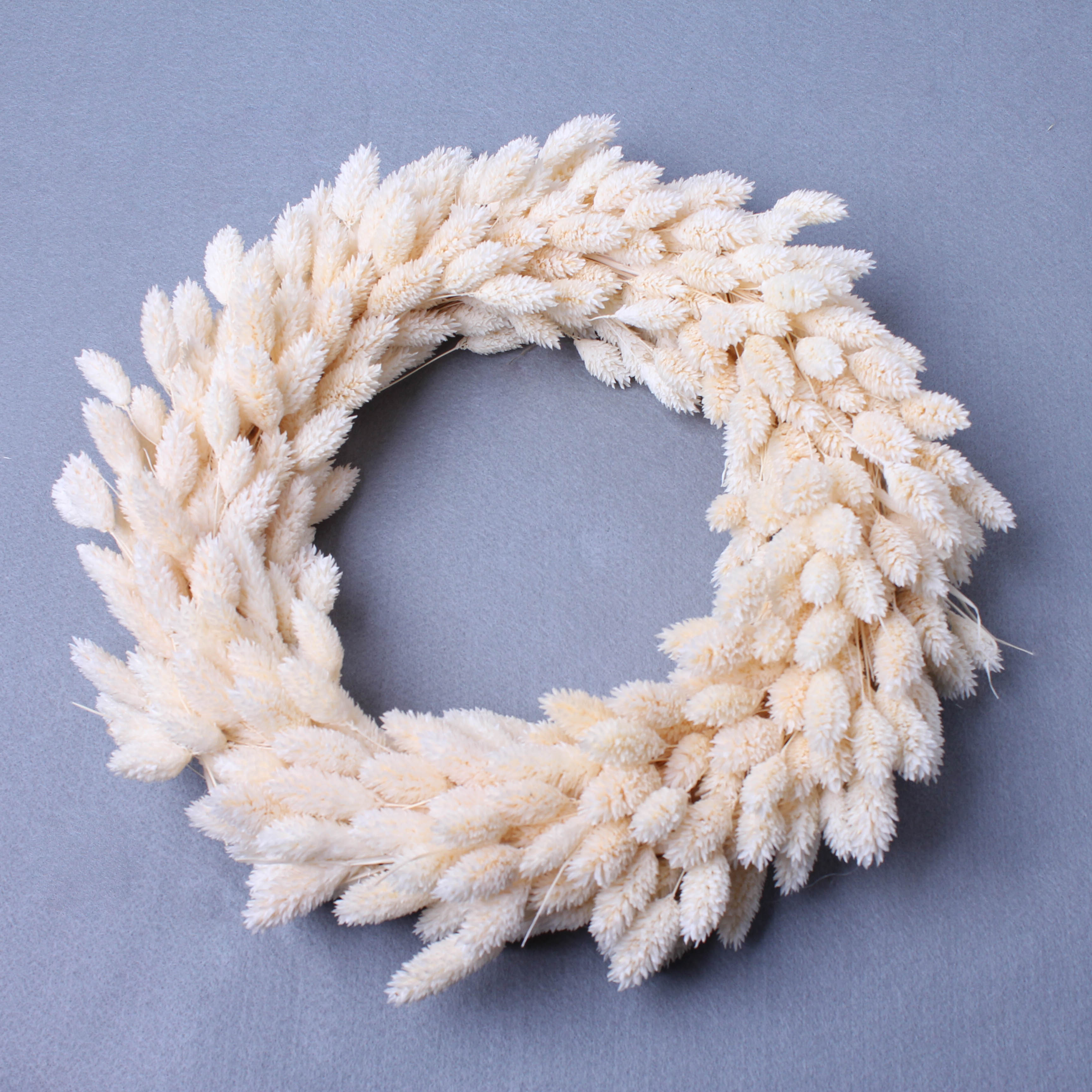 Phalaris  Kranz gebleicht 30cm