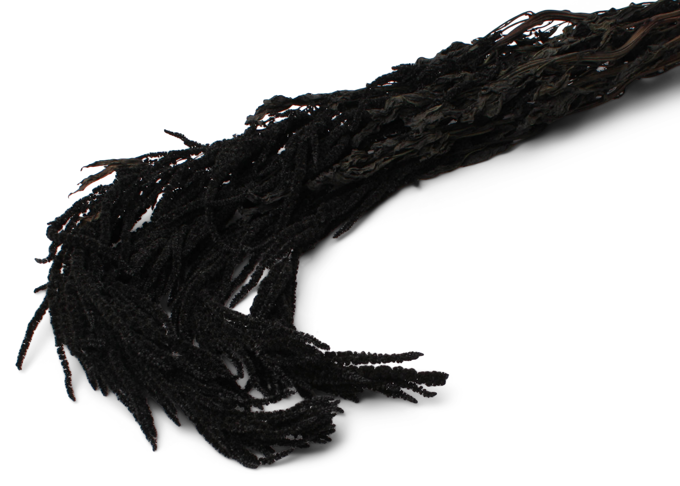 Amaranthus Caudatus Black 80-100cm 75g