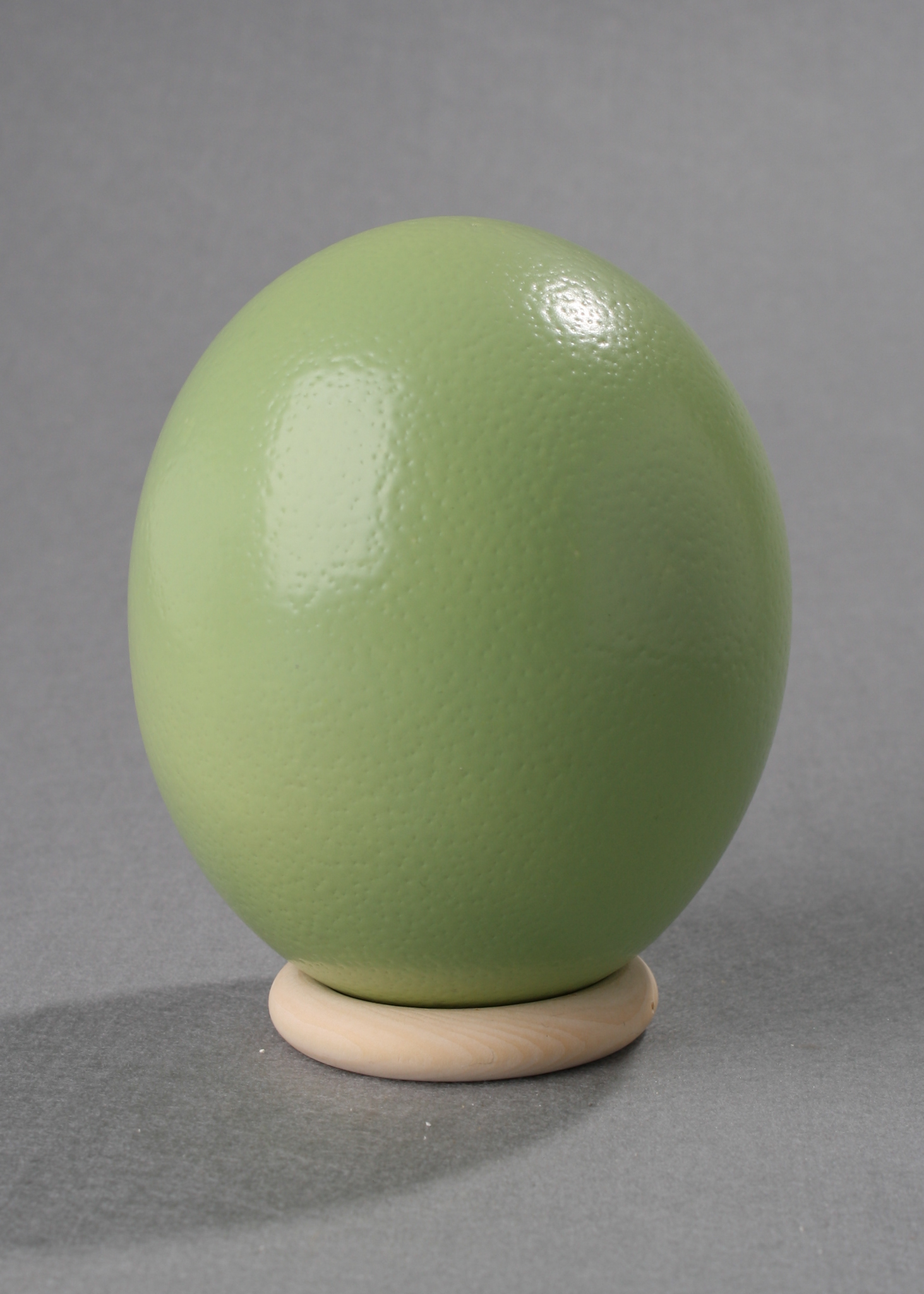 Ostrich Egg mit Holzständer green