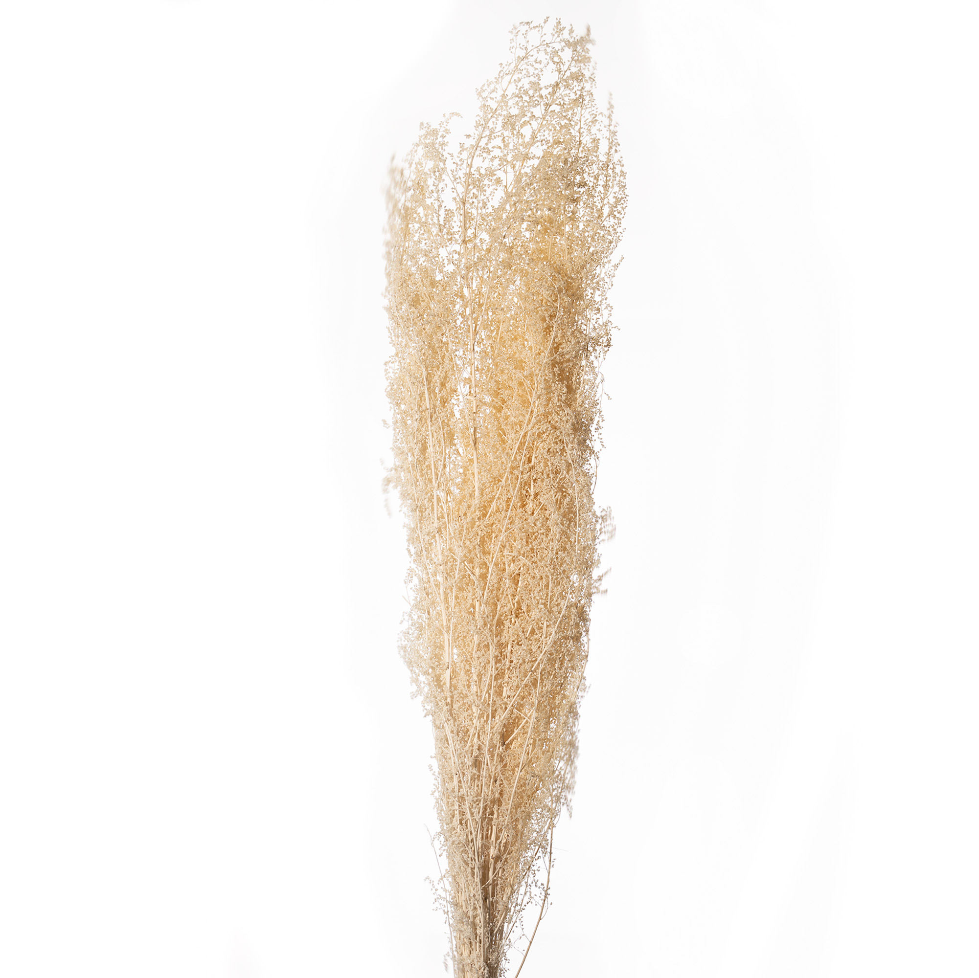Brizzone soft weiss 250g