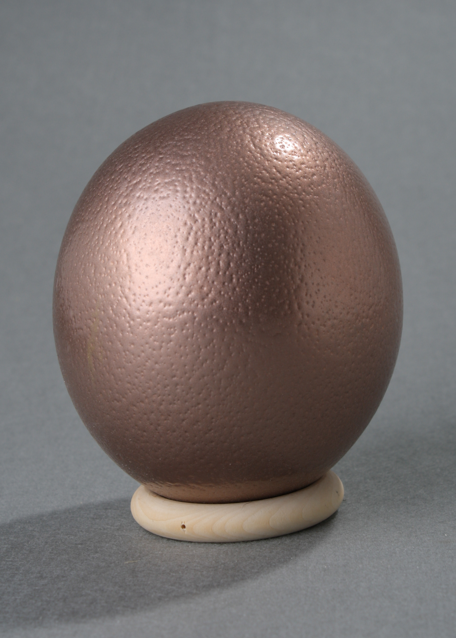 Ostrich Egg mit Holzständer rose gold