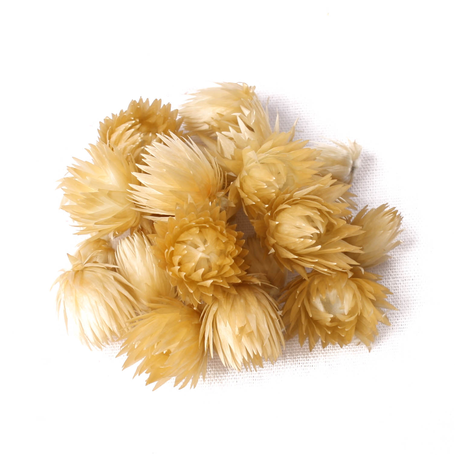 Capblumen Med Loose aspen gold 30g