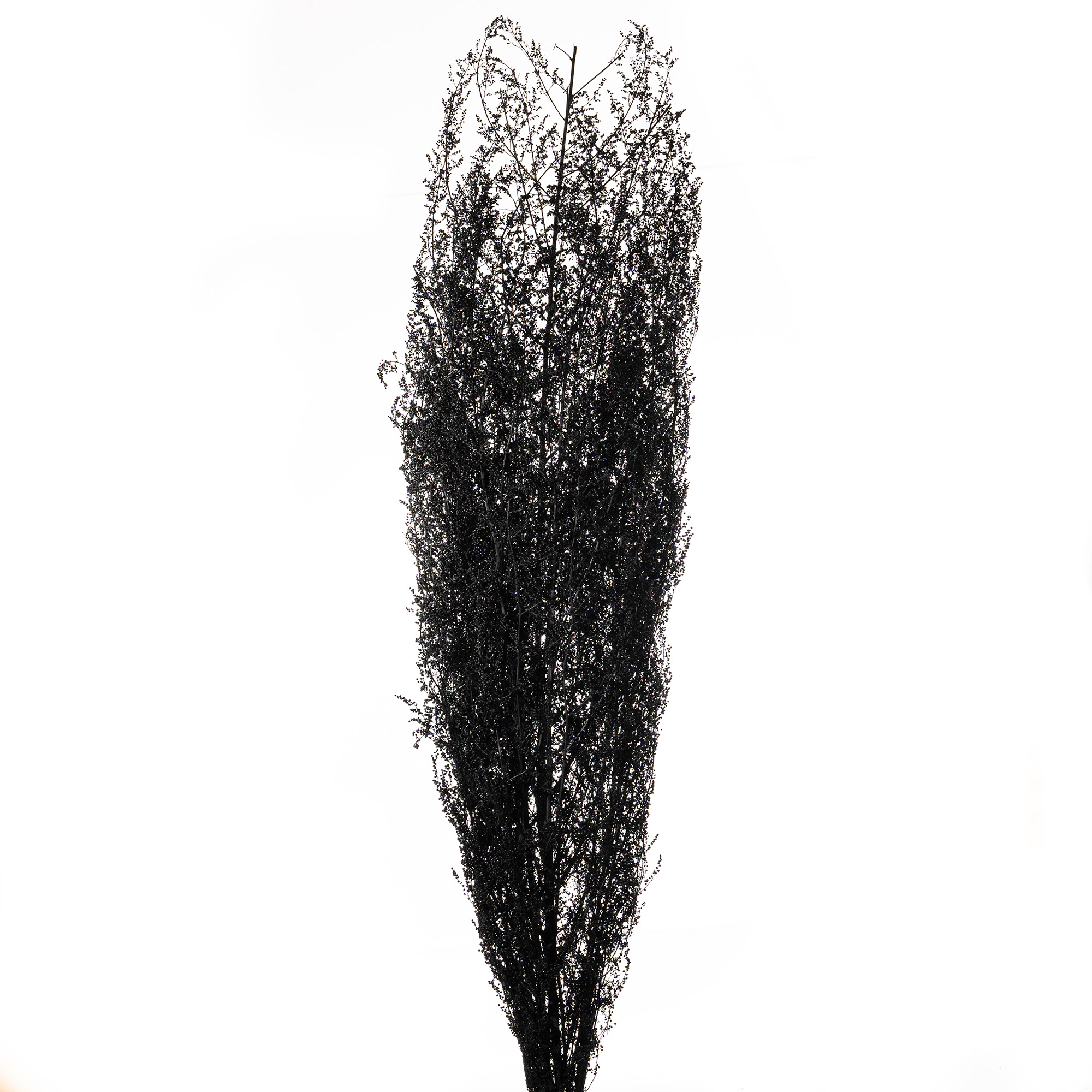 Brizzone soft schwarz 250g