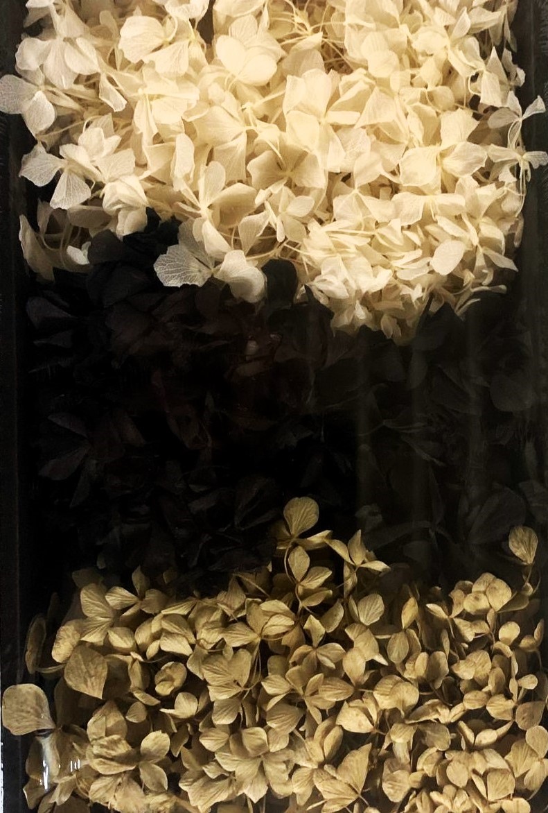 Hydrangea Loose Ivory/Black/Bleached 45g