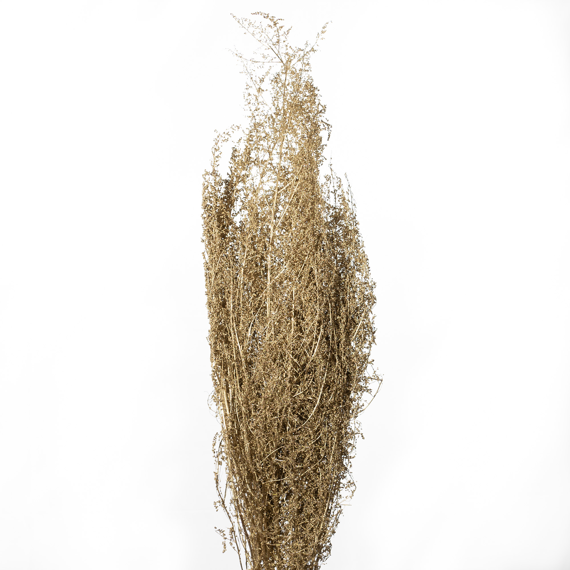 Brizzone gold 250g