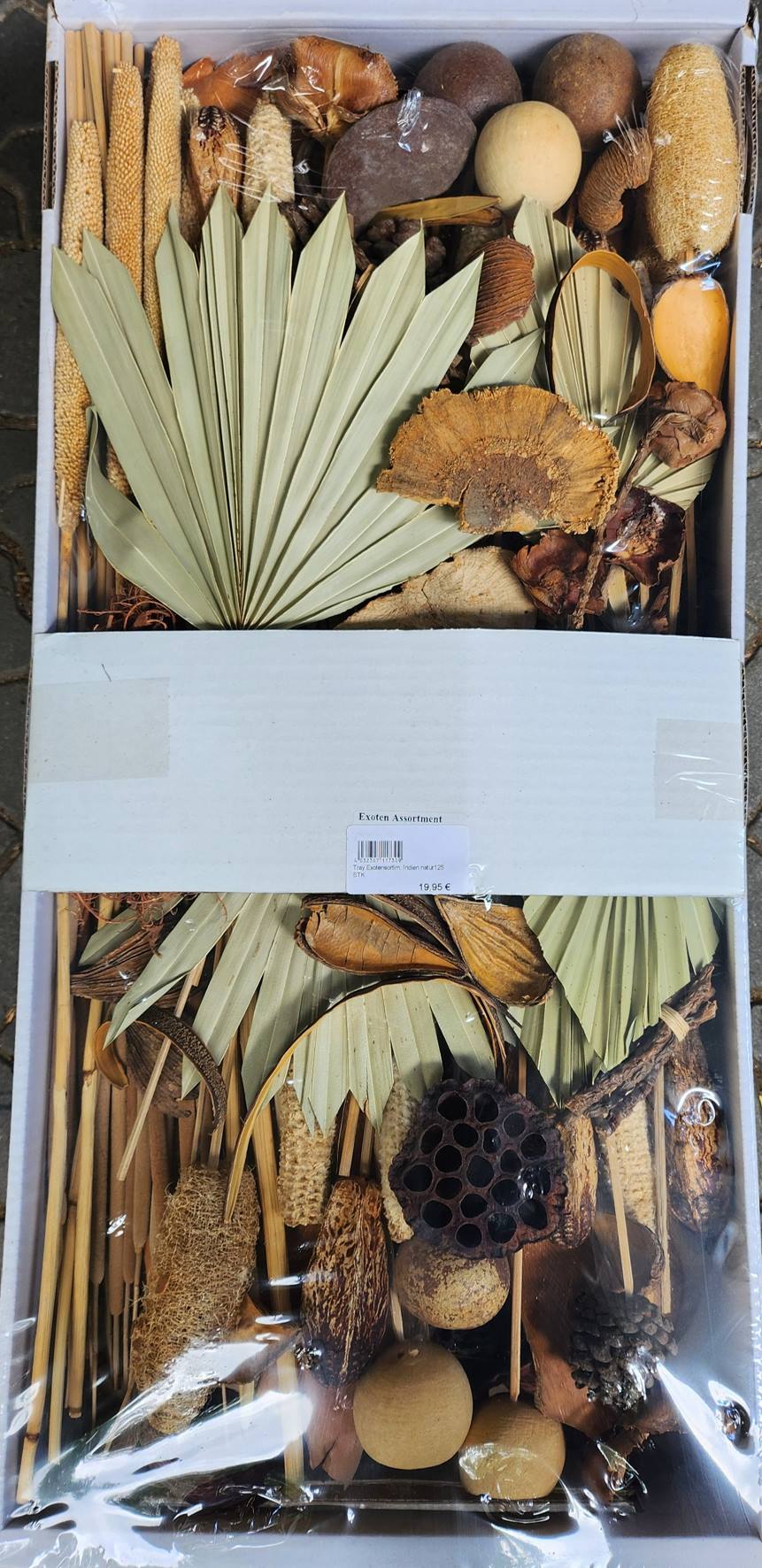 Tray Exotensortim. Indien natur125 STK