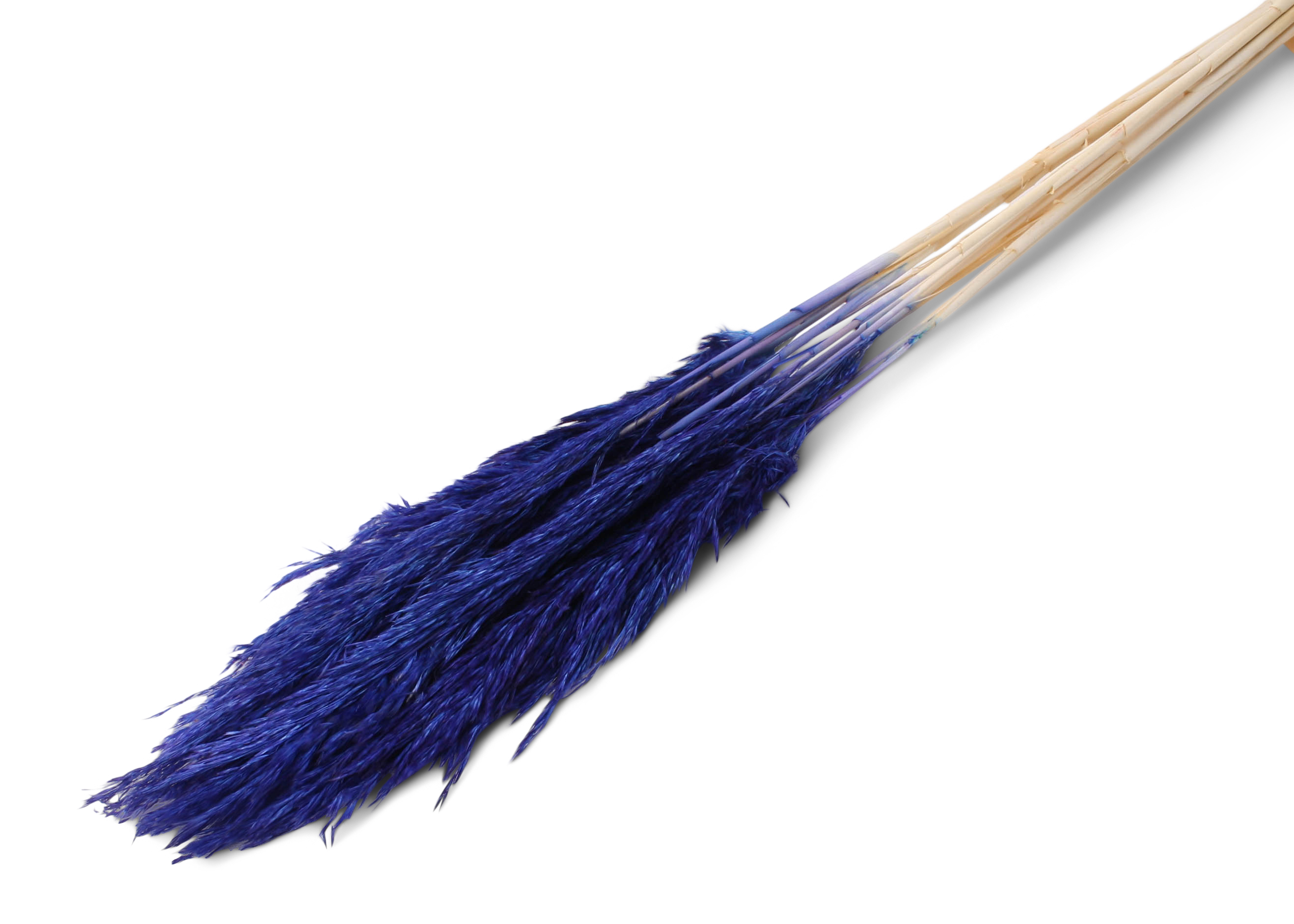 Plume Reed 20-35cm HD pastel black 100cm 100g