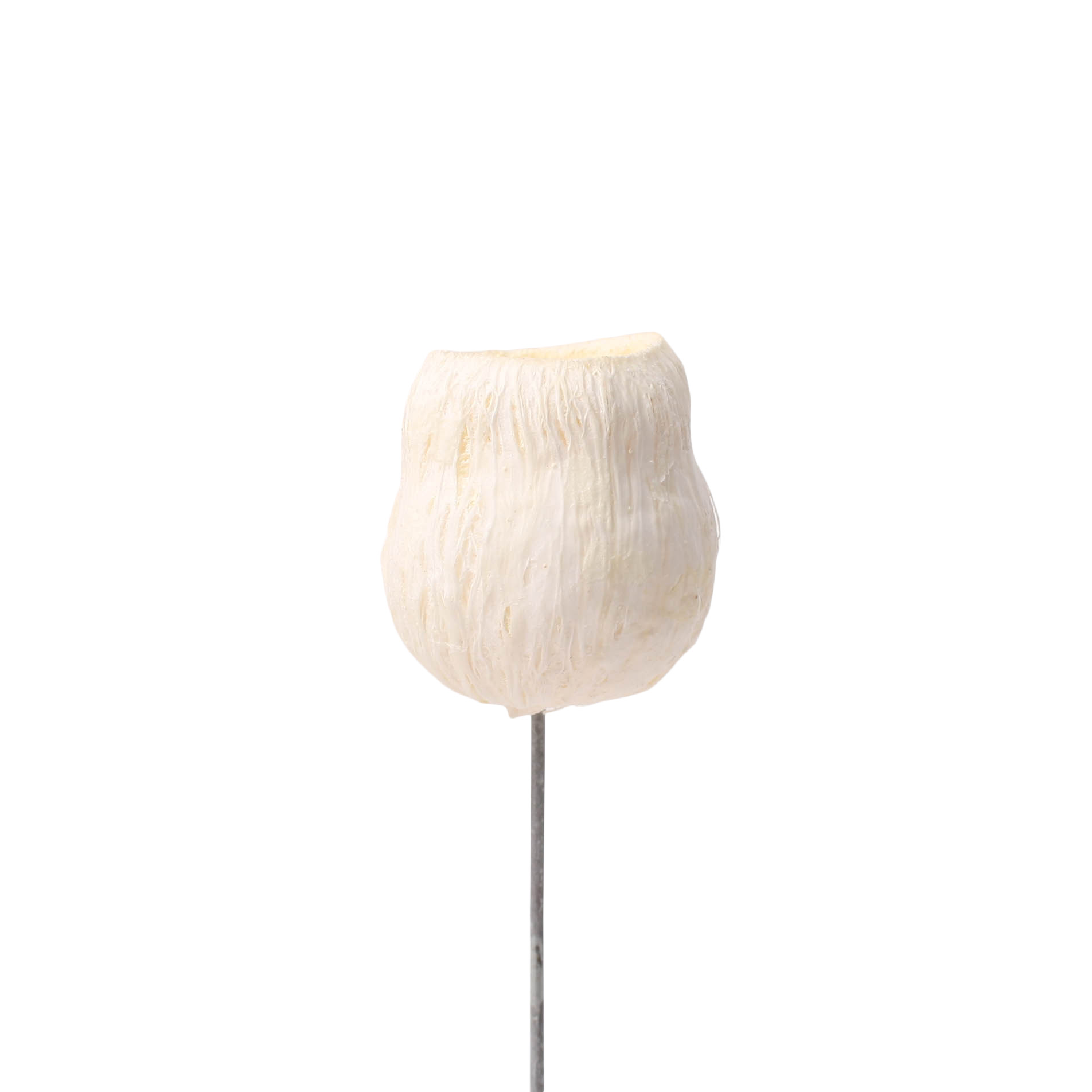 Tray Bellgum gebleicht o/w 100 Stk