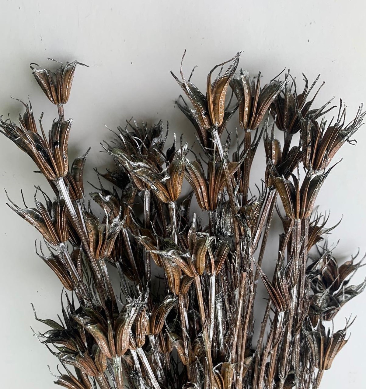 Nigella Black Silver Washed 35-50cm 100g