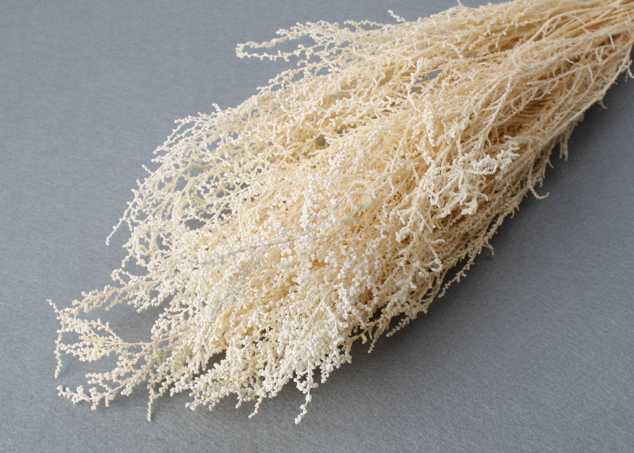 Stoebe Bleached (75GR)