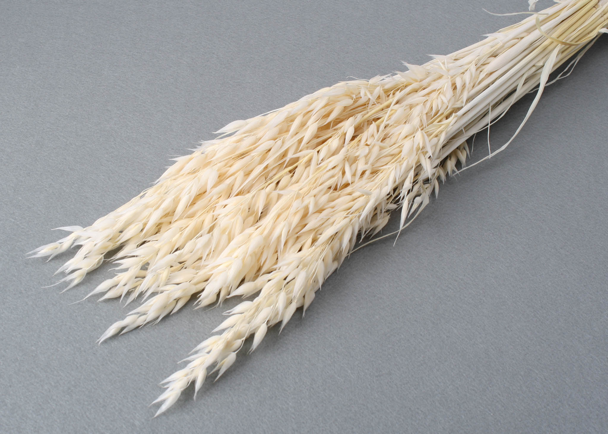 Oats Bleached 75 cm 100 Gramm