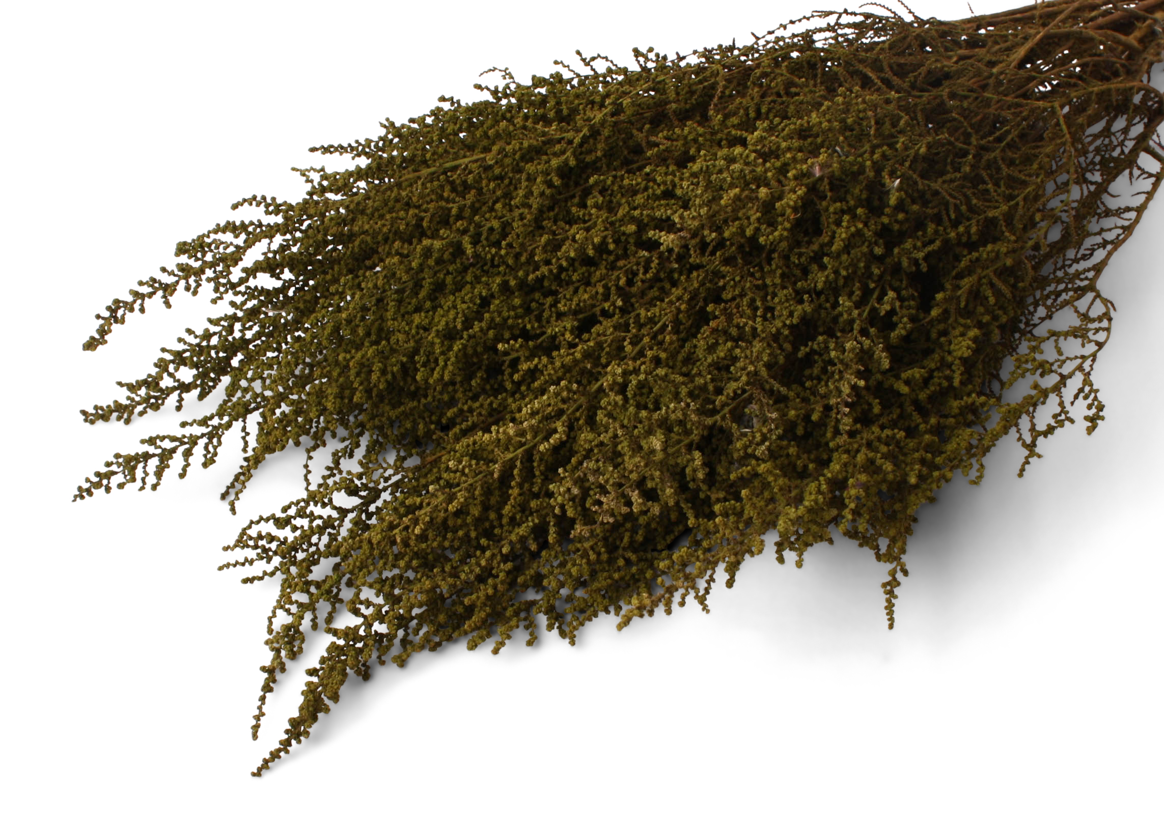 Stoebe Antique Moss 45-50cm 75g