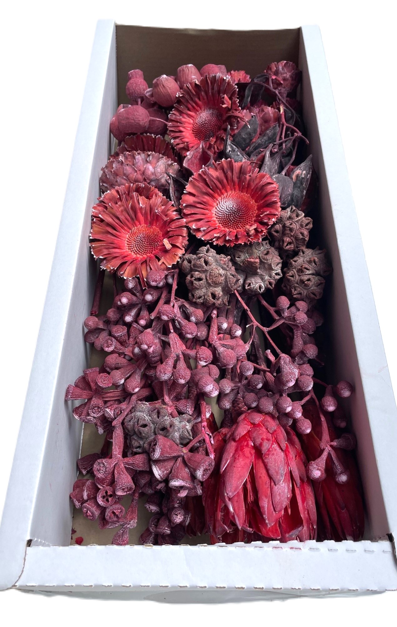 Tray Sortiment Afrika frosted red B 50 Stk