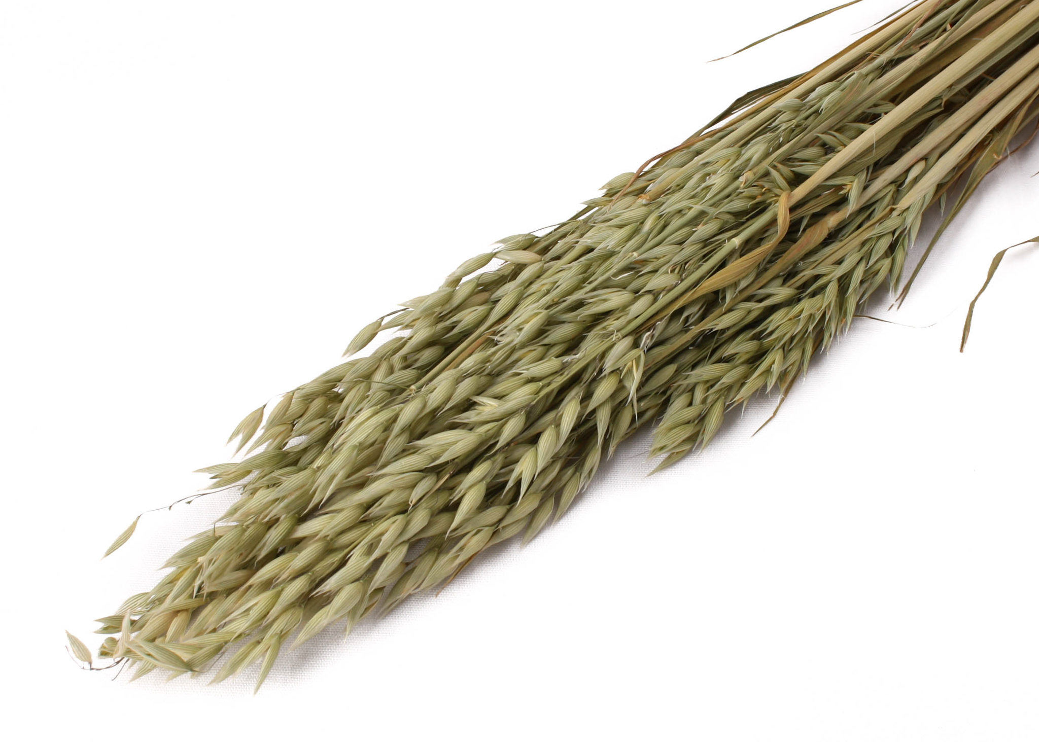 Oats Natural 75CM - 200GR