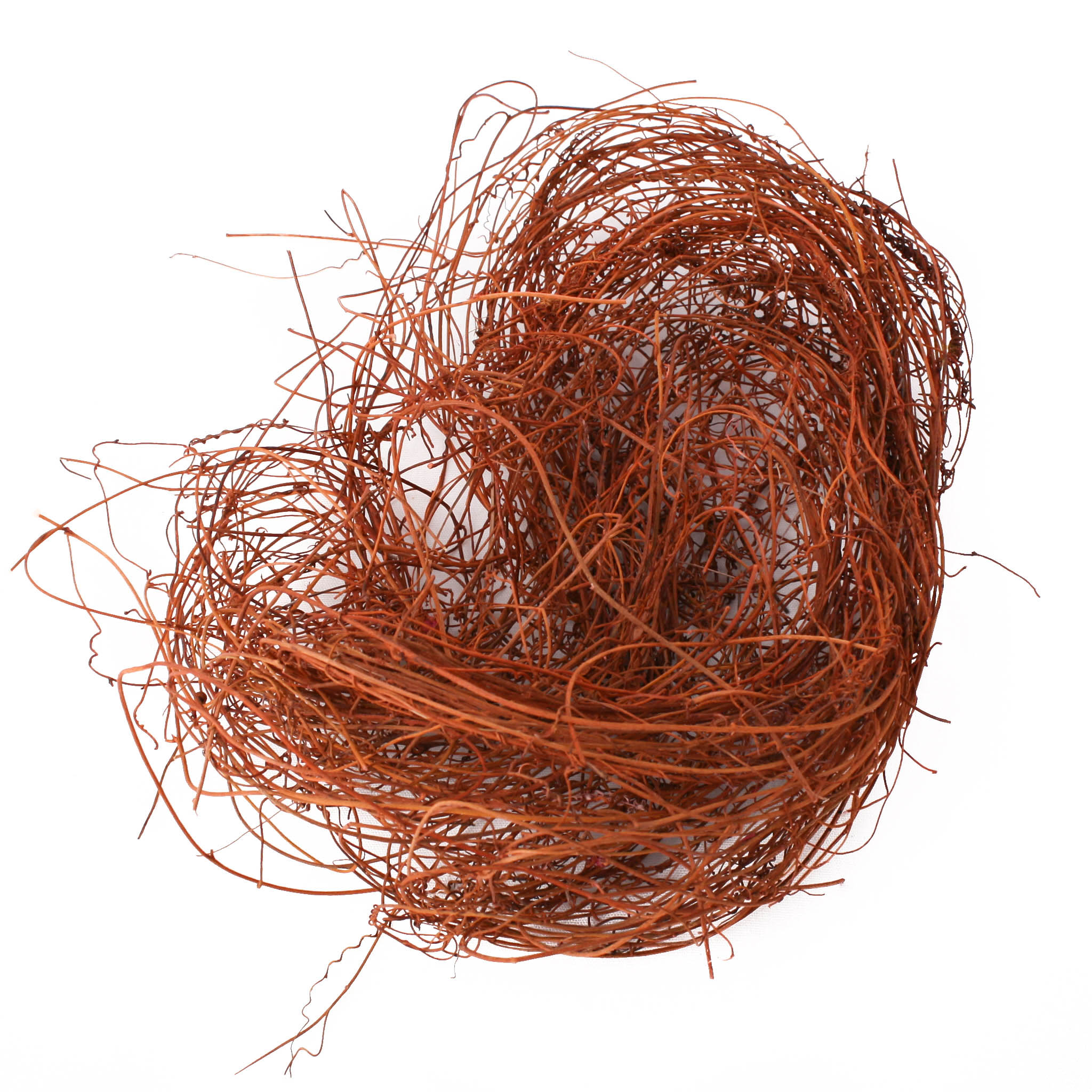 Dodder Preserved Altrosa 250g