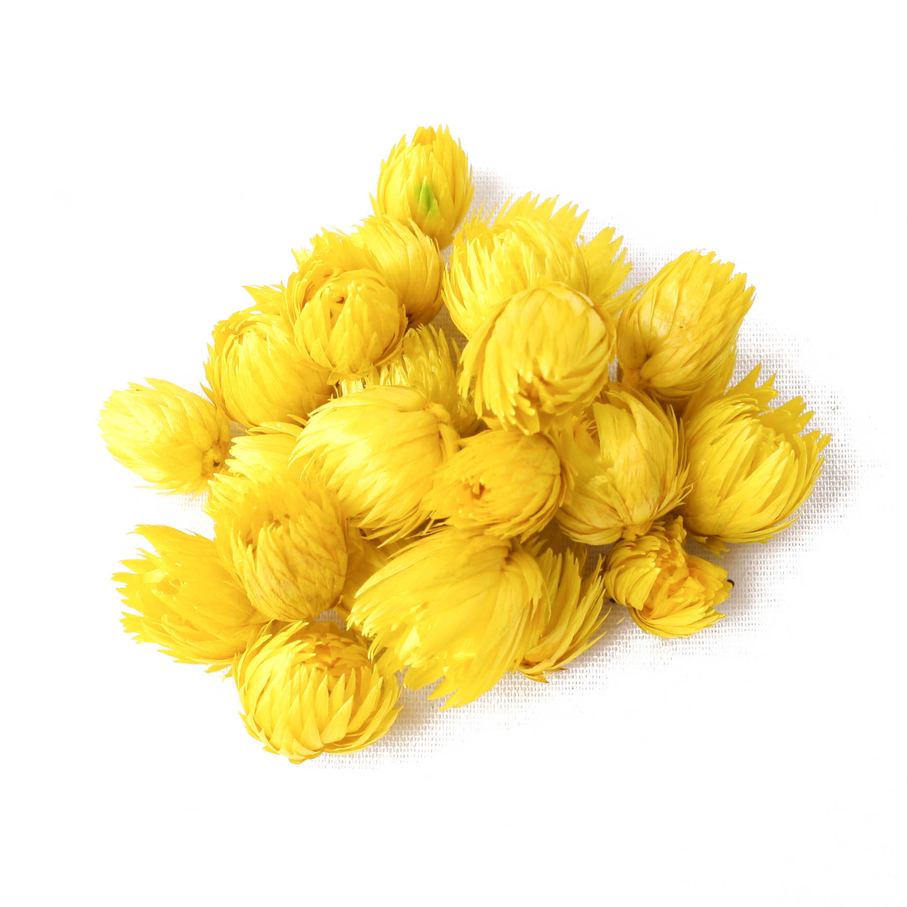 Capblumen Med Loose Yellow 30g