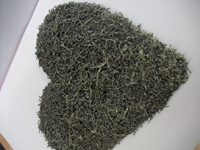 Vine Cluster Herz rund 28 green frosted
