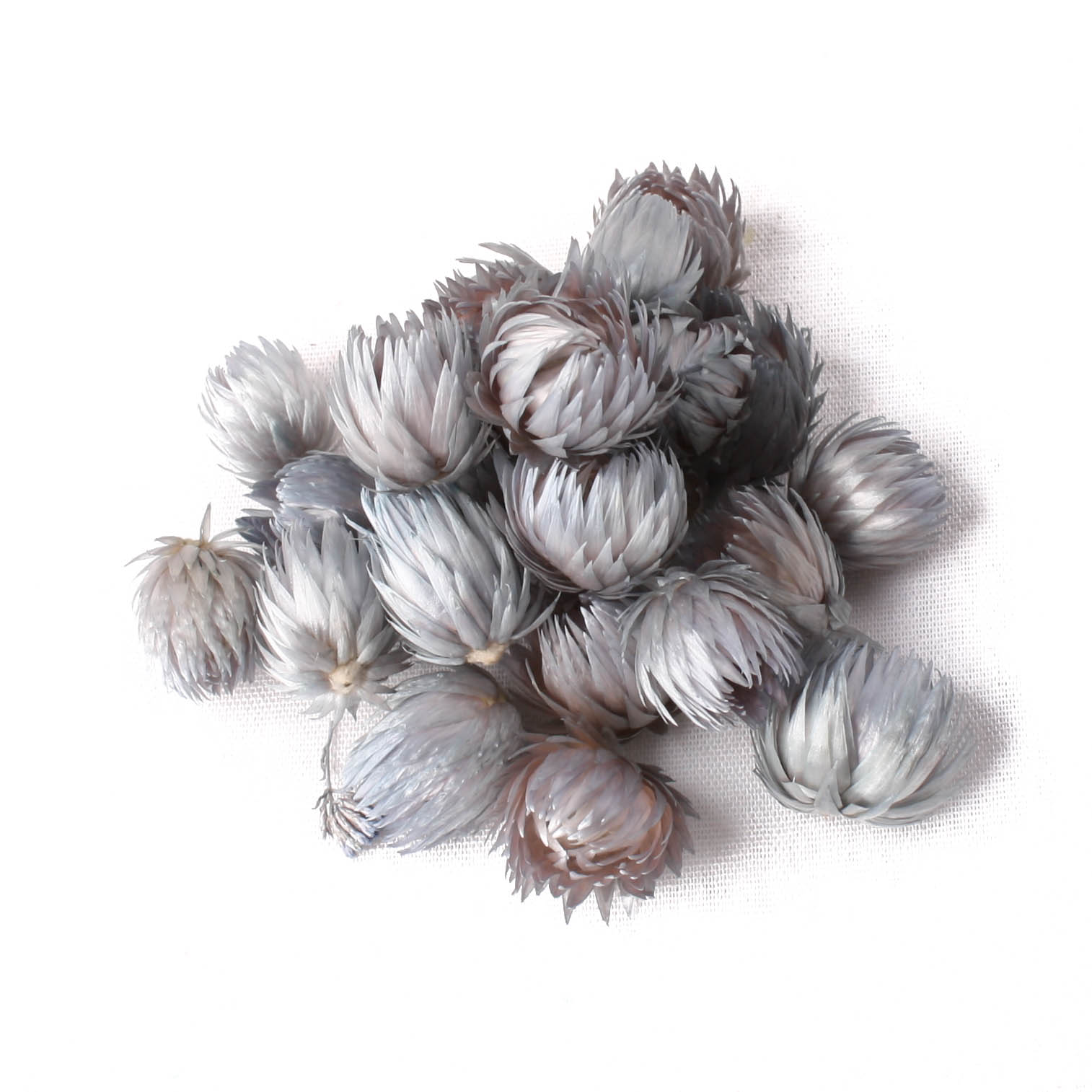 Capblumen Med Loose cool grey 30g