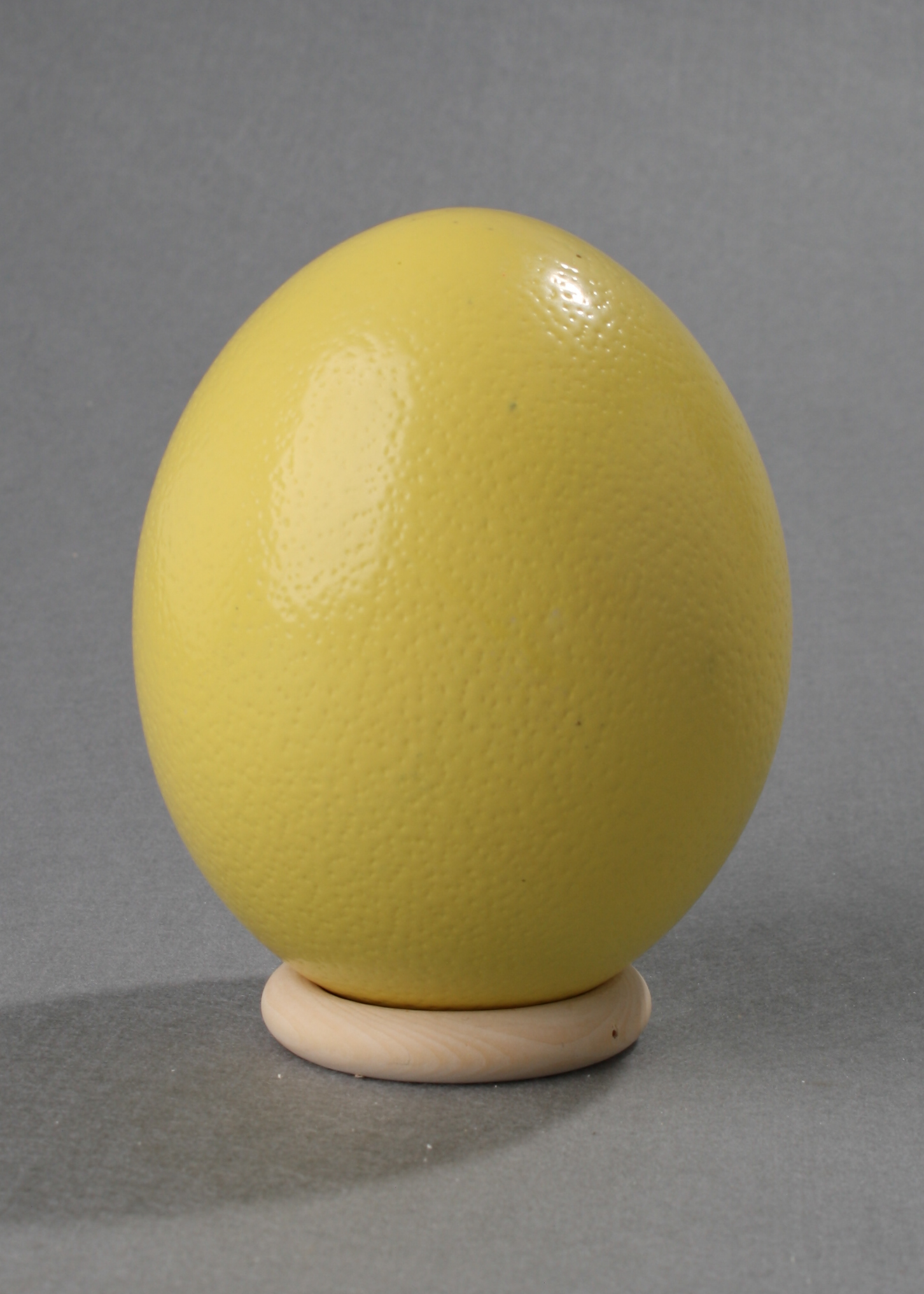 Ostrich Egg mit Holzständer pastel yellow