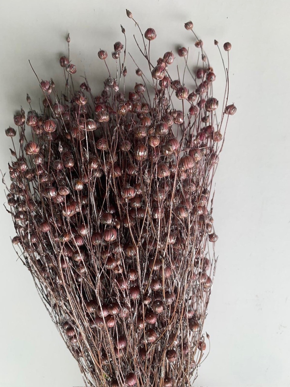 Linum Erika Silver Washed 40-50cm 75g