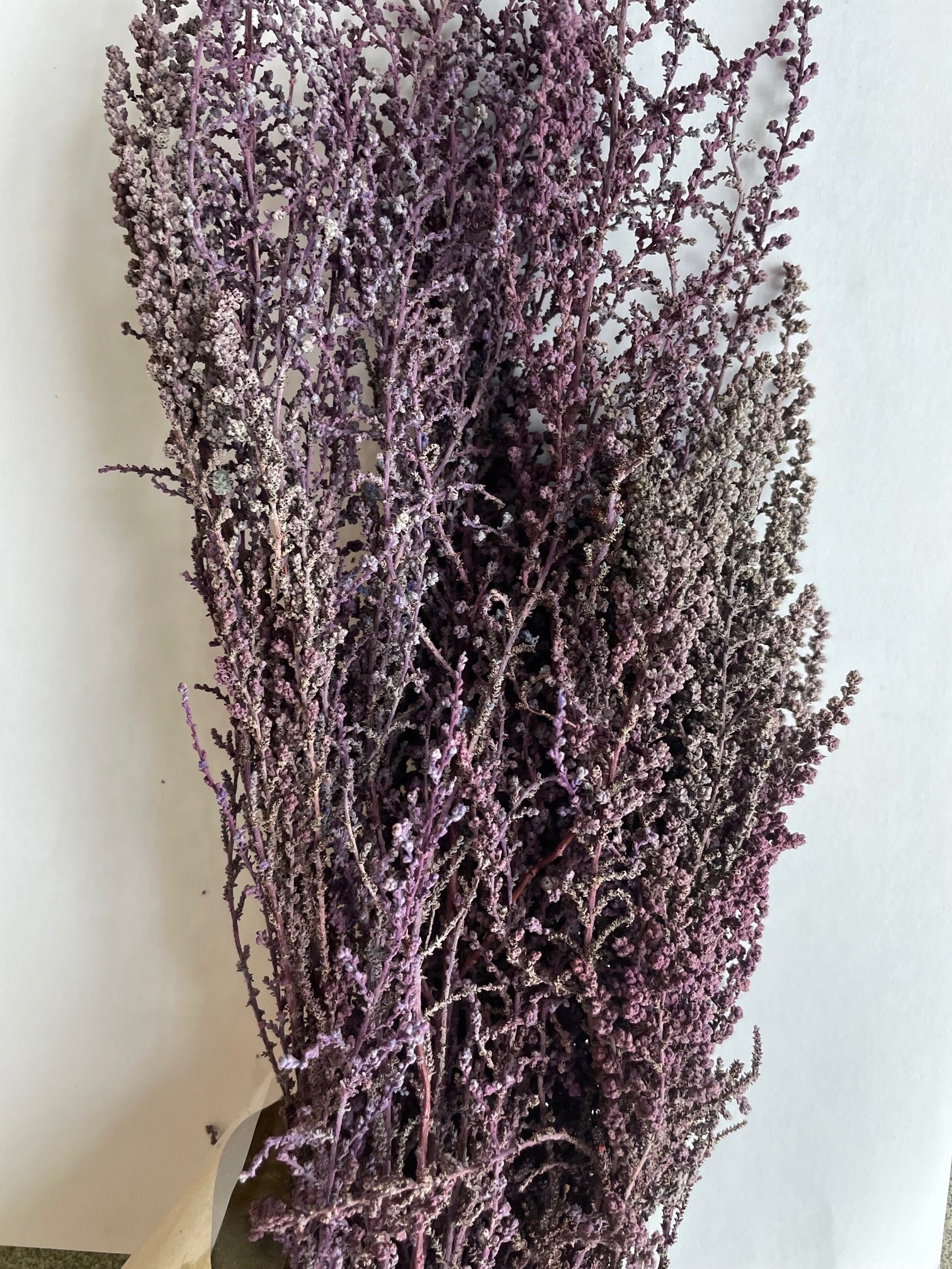 Stoebe Brombeer 45-50cm 75g