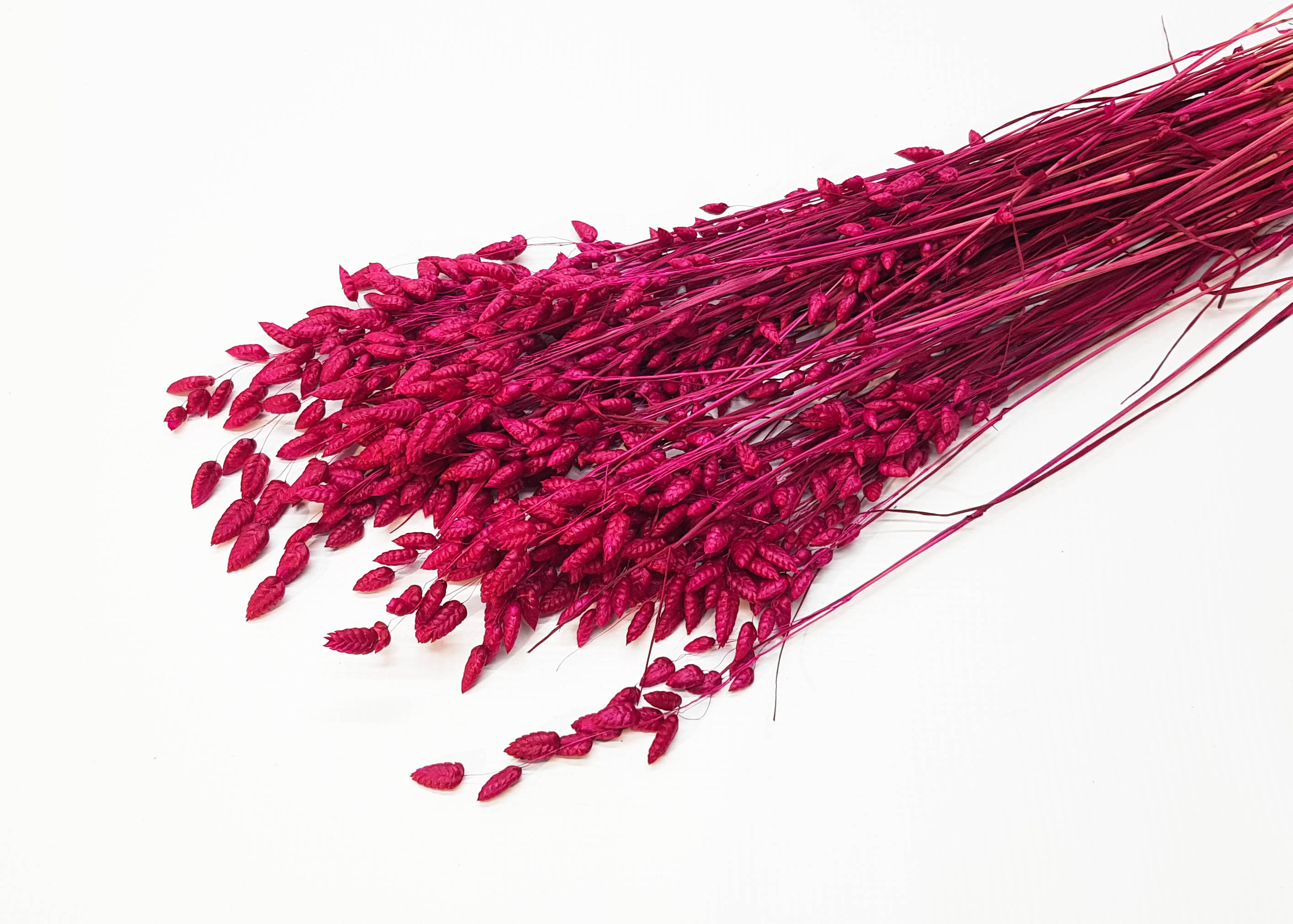 Briza Azalea 50-60cm 100g