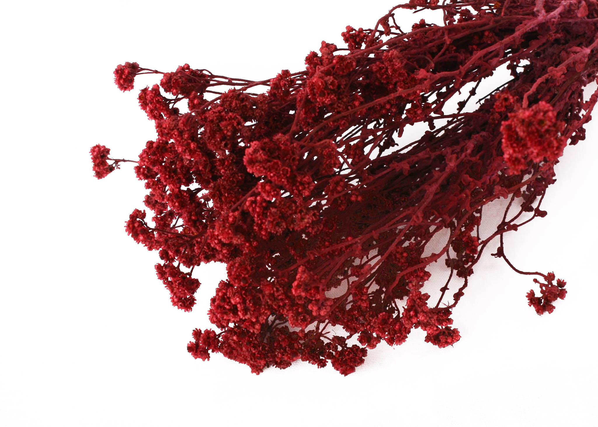 Crispum Bordeaux 25-30cm 75g
