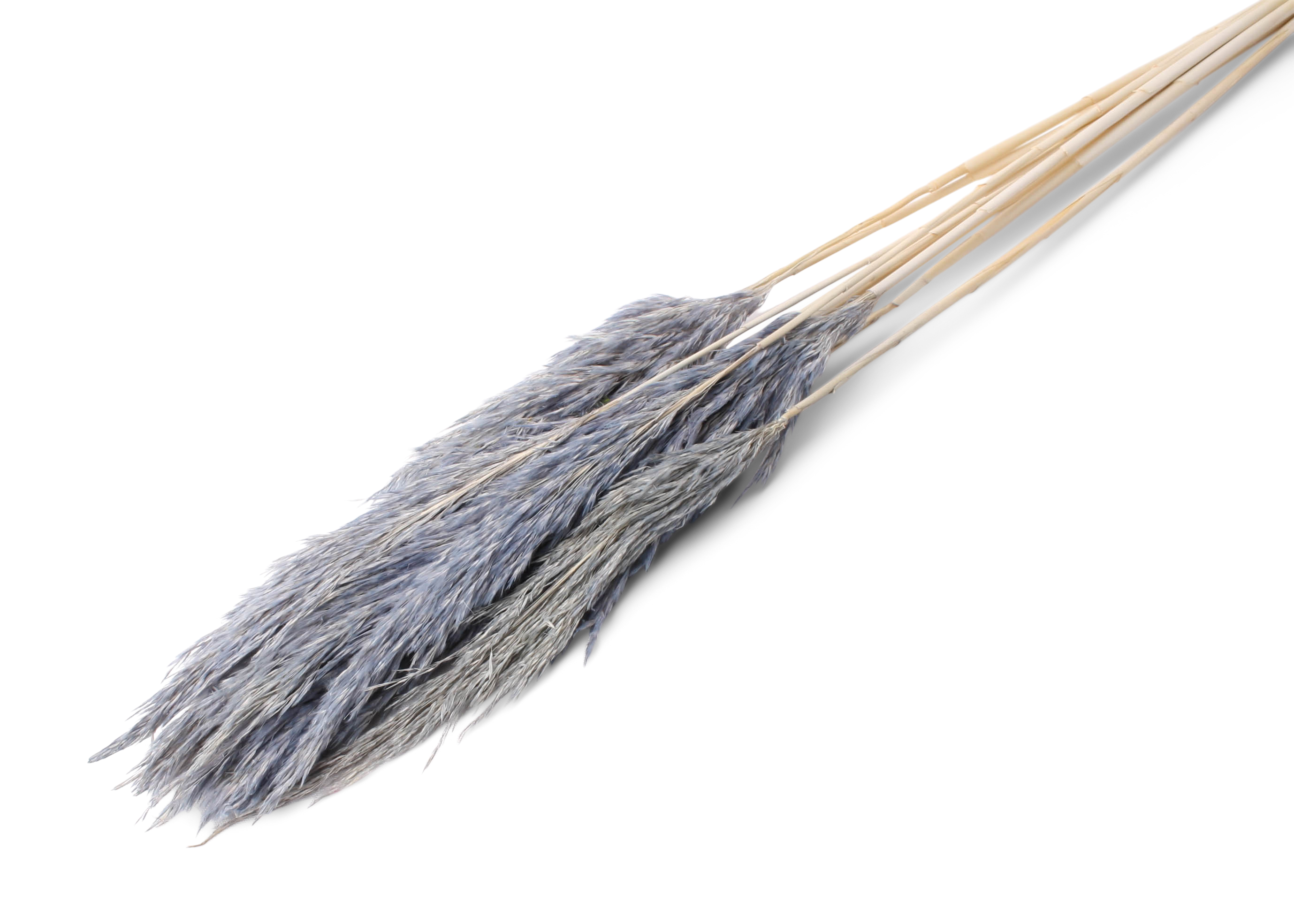 Plume Reed 20-35cm HD pastel cool grey 100cm 100g