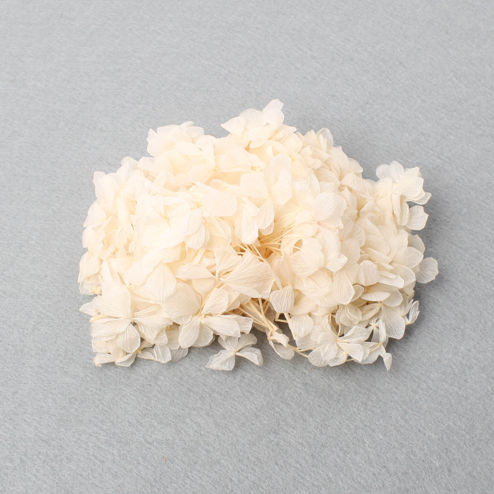 Hydrangea Losse Bleached - 45G
